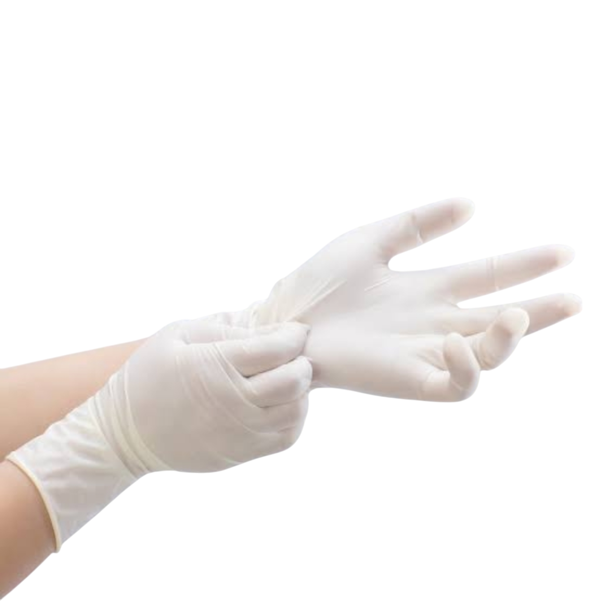 kidney beans organic kidney beans organic